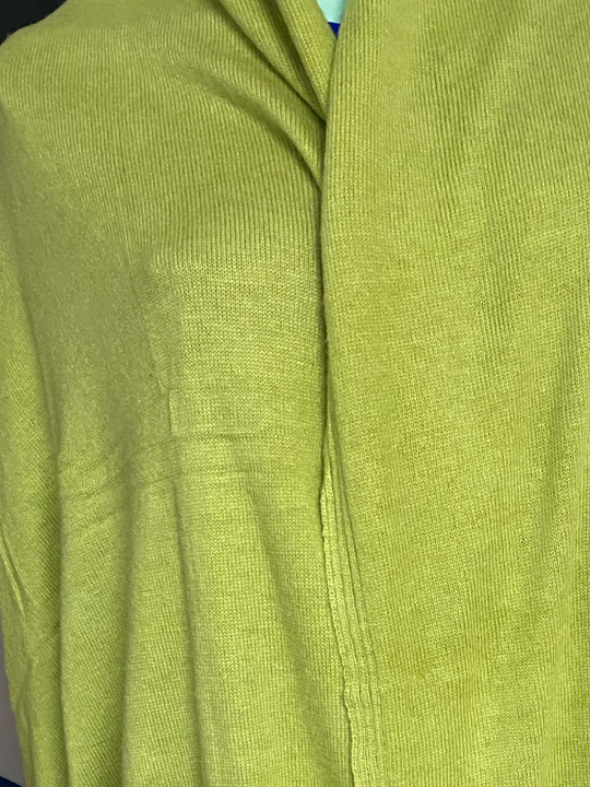 Julian Cashmere Extra large Travel Wrap/Shawl-Sage Pistachio
